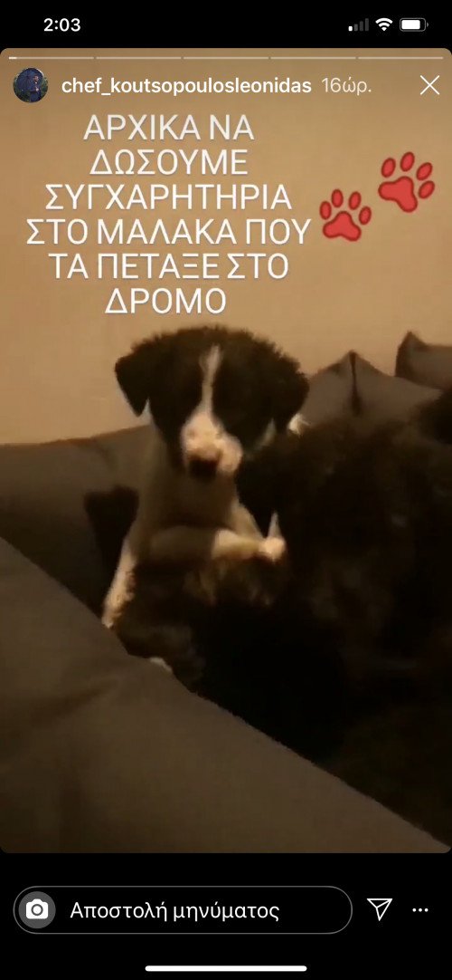 1631251_sef_koutsopoulos_1386.PNG.jpg