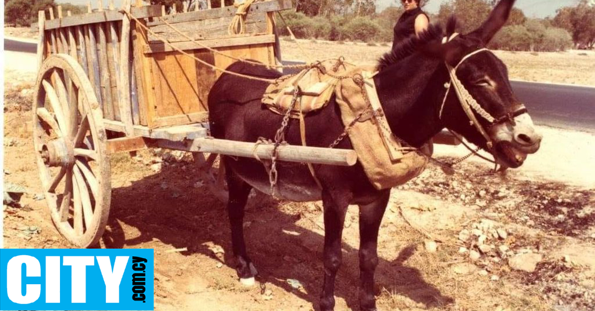 Αφήστε τα άλογα στον στάβλο, τις άμαξές σας στο γκαράζ και τα χαλιά στις αποθήκες