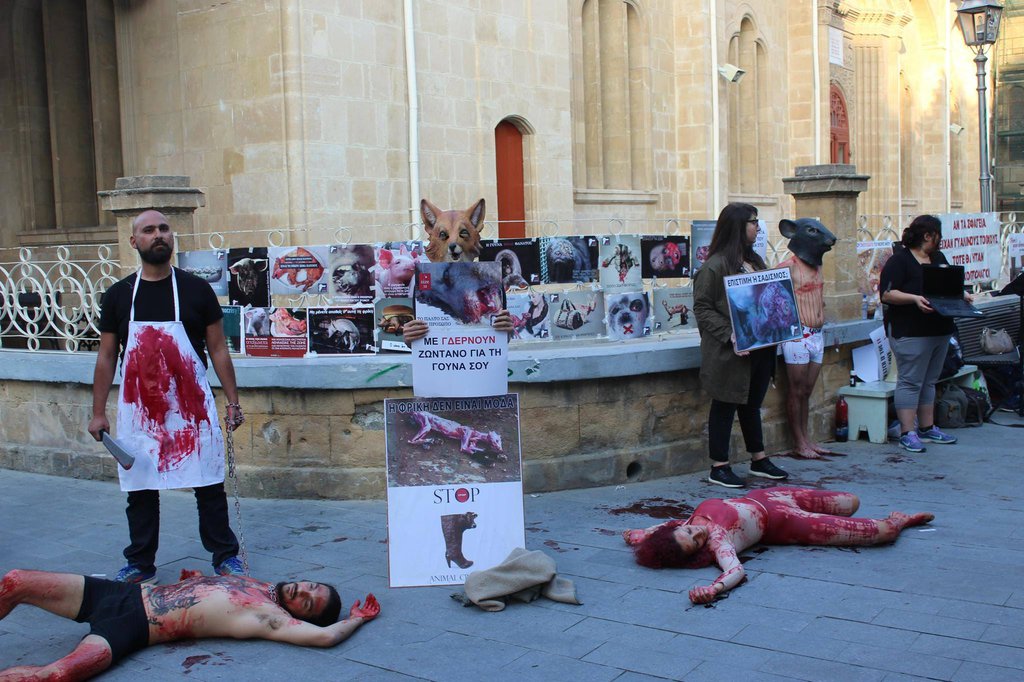 4η διαμαρτυρία για ΟΛΑ τα ζώα στην Κύπρο.jpg