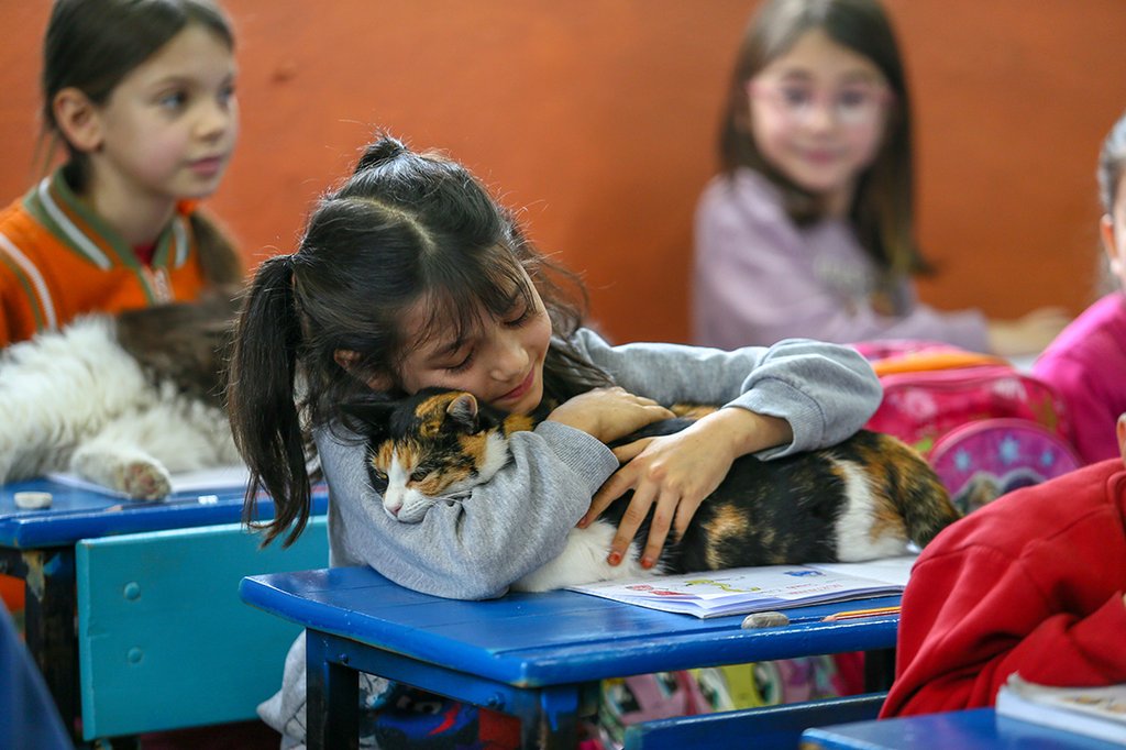 ARALIK 2022_kedi1.jpg