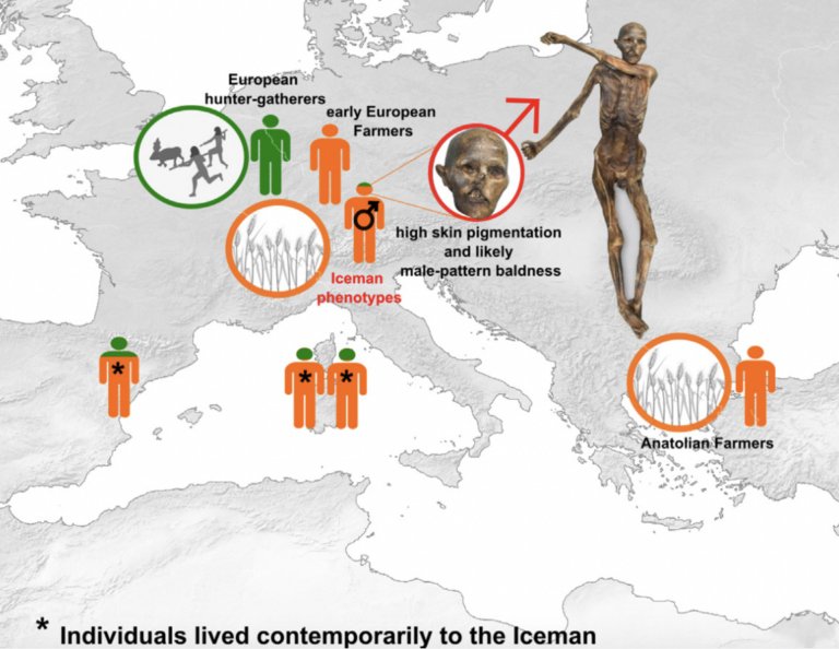 AnatolianAncestry-768x594-1.jpg