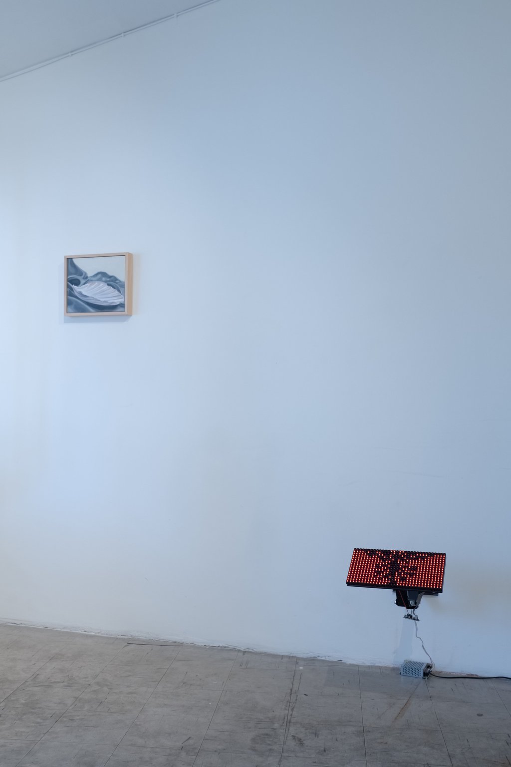 DSCF8151.jpg