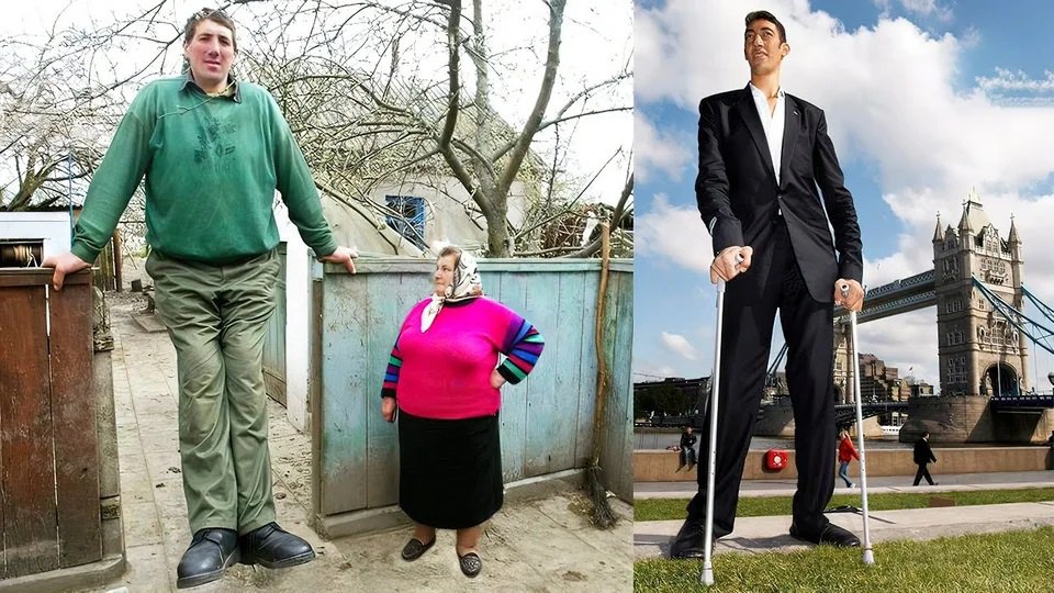 ΕΝΝΑΑ.jpg