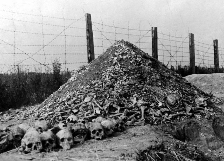Human bones litter the grounds of the Majdanek concentration camp in Lublin, Poland following its liberation by Soviet forces on July 24, 1944..jpg