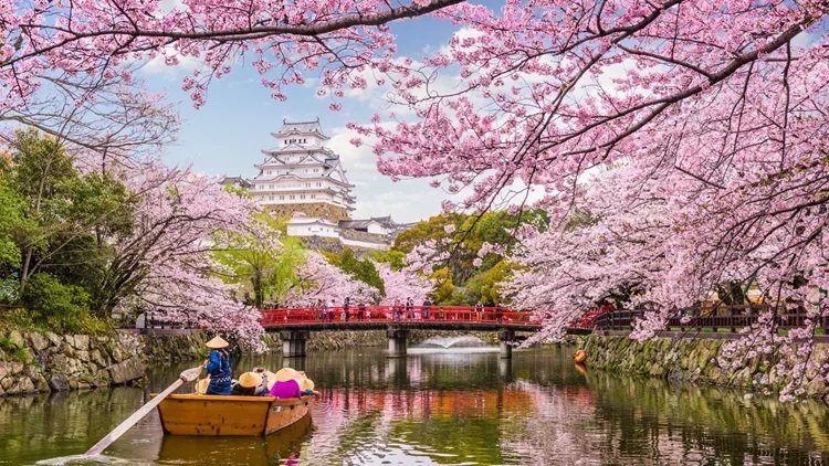 JAPAN.jpg