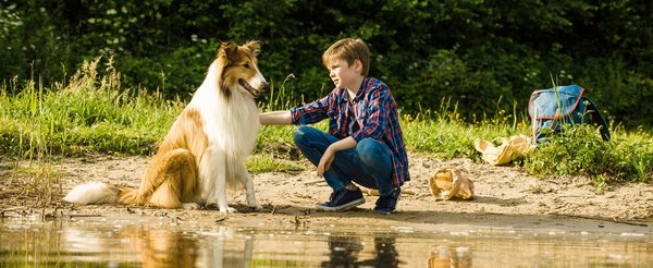 Lassie Come Home_1280x526.jpg