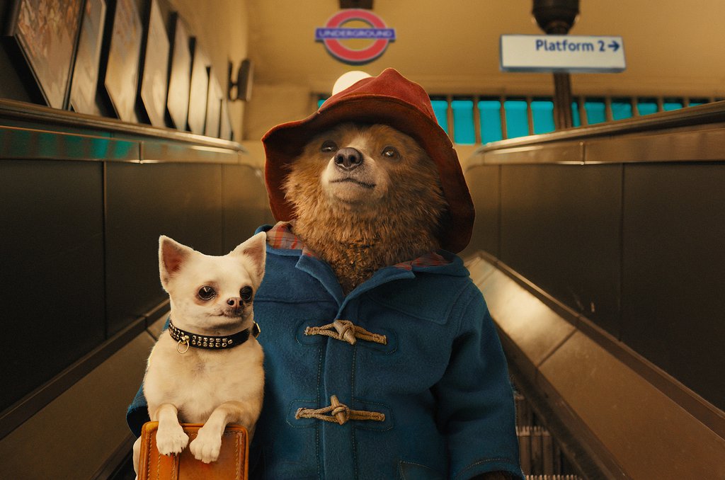 PADDINGTON 1.jpg