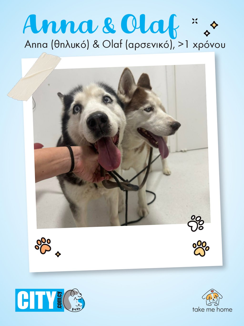 Pets Insta Post 1080x1440-2.jpg