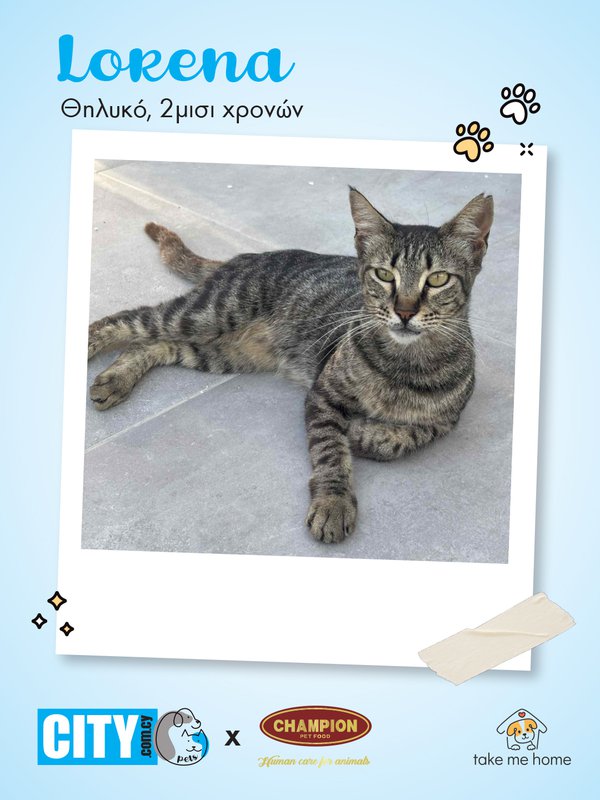 Pets Insta Post 1080x1440-3.jpg