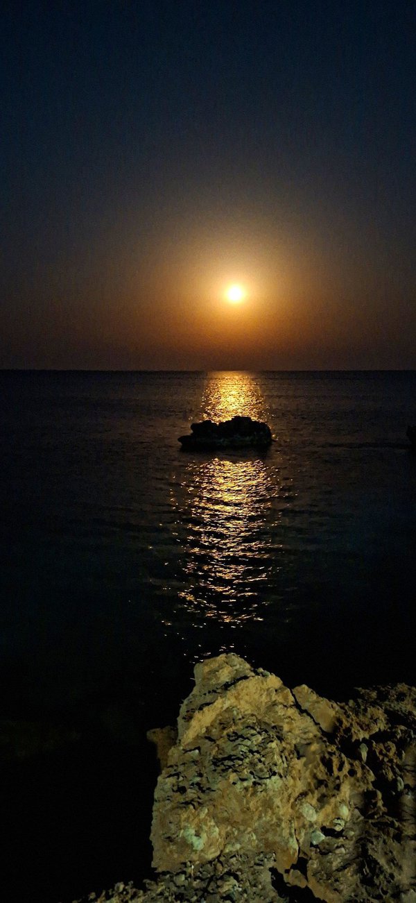 Soteroulla_Hadjiconstanti_Tziambouri.width-1024.jpg