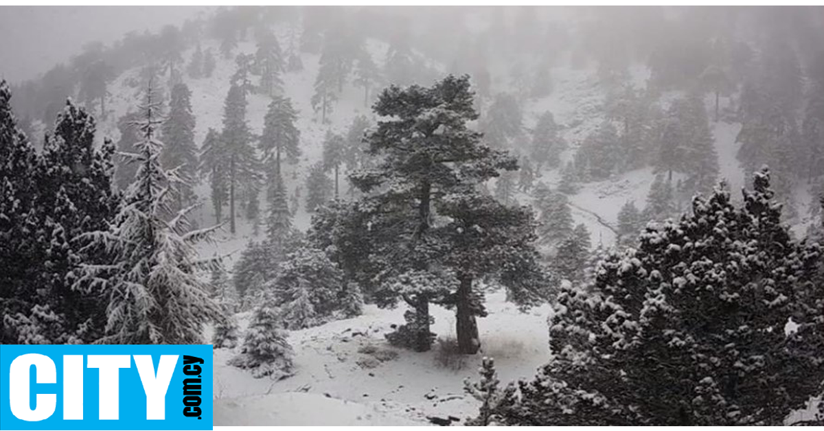 Αν ετοιμάζεστε για εξόρμηση στο Τρόοδος, καλύτερα τσεκάρετε τι παίζει εδώ