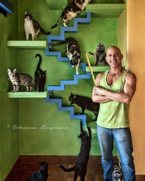 This-Man-Turned-His-Home-into-a-Cats-Paradise-620cedc30869c__700.jpg
