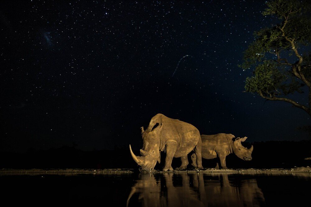 Under the stars, KwaZulu Natal, South Africa. Φιναλίστ στην κατηγορία Nature. Φωτο Alison LangevadΑυστραλία.jpg