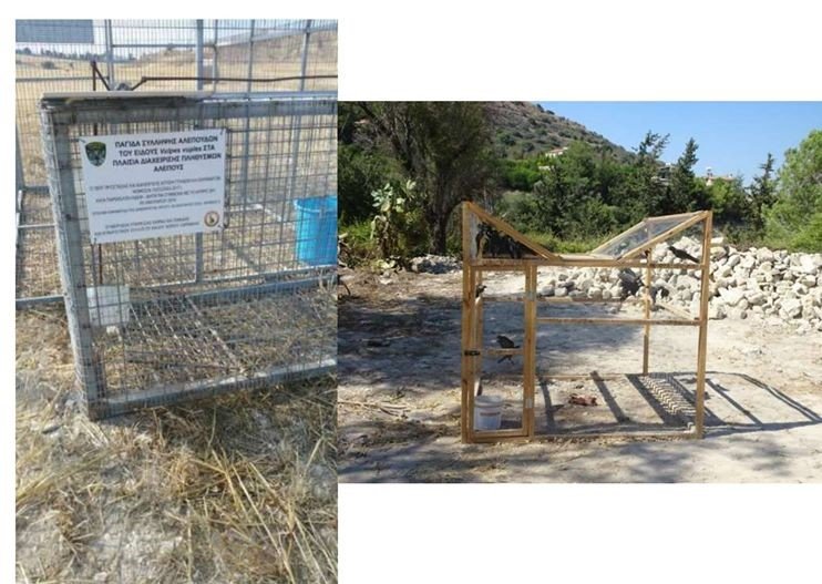 αλεπούδεςκλουβιά.jpg