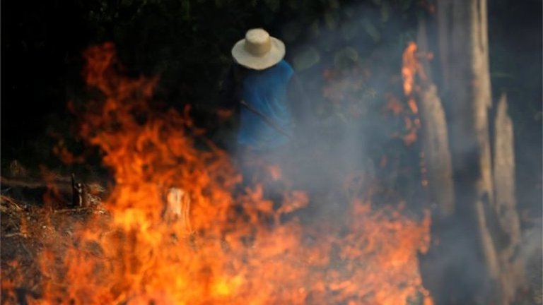 amazonia-e-o-bioma-mais-afetado-por-incendios-florestais-neste-ano-diz-inpe.jpg