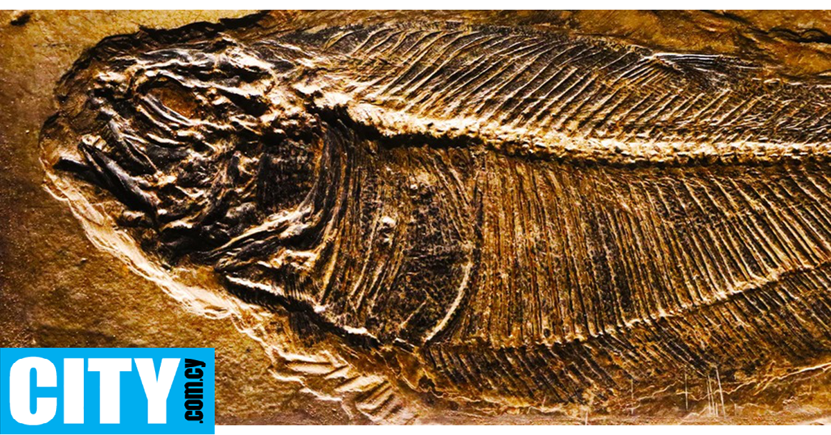 &Epsilon;&rho;&epsilon;&upsilon;&nu;&eta;&tau;έ&sigmaf; &epsilon;&nu;&tau;ό&pi;&iota;&sigma;&alpha;&nu; &delta;&epsilon;&kappa;ά&delta;&epsilon;&sigmaf; ά&gamma;&nu;&omega;&sigma;&tau;&alpha; &epsilon;ί&delta;&eta; &zeta;ώ&omega;&nu; &pi;&omicron;&upsilon; &epsilon;ί&chi;&alpha;&nu; &epsilon;&pi;&iota;&beta;&iota;ώ&sigma;&epsilon;&iota; &alpha;&pi;ό &mu;&alpha;&zeta;&iota;&kappa;ή &epsilon;&xi;&alpha;&phi;ά&nu;&iota;&sigma;&eta;