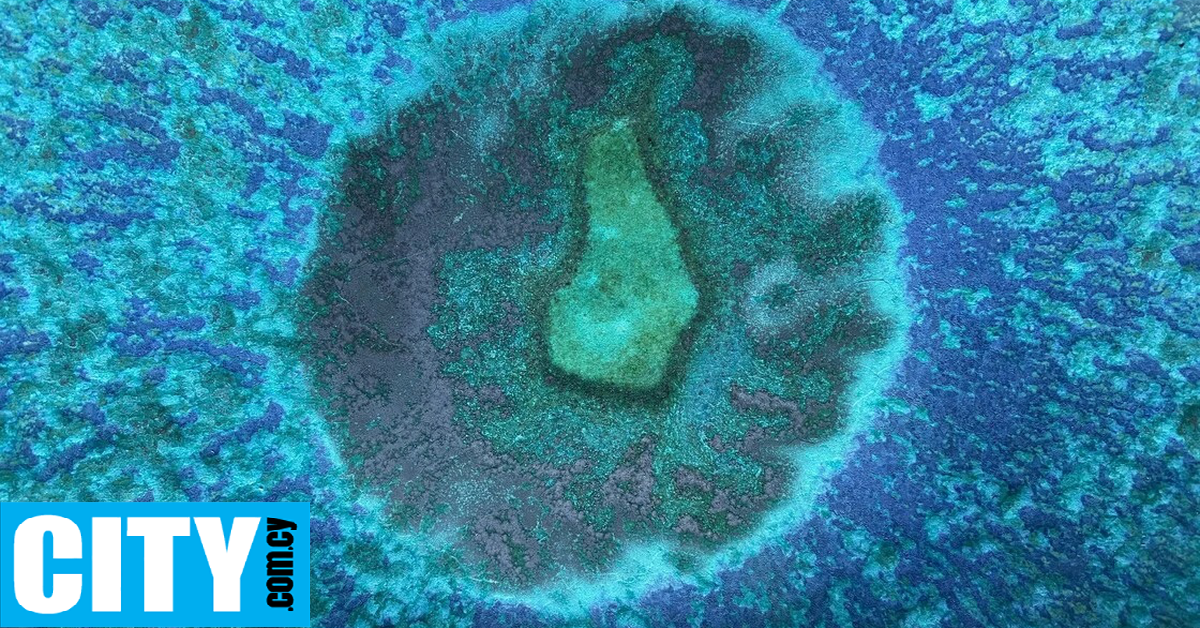 Τεχνητό ενδομήτριο ρίχνει φως στα πρώτα στάδια της εγκυμοσύνης και στους μηχανισμούς της αποβολής