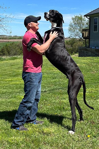 bestof24-tallest-dog.jpg