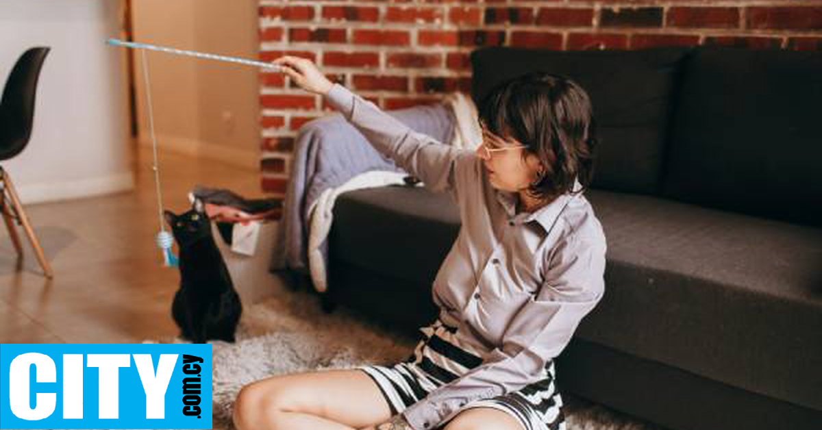 Με ένα απλό τρικ μπορείς να πετύχεις επικοινωνία με τη γάτα σου