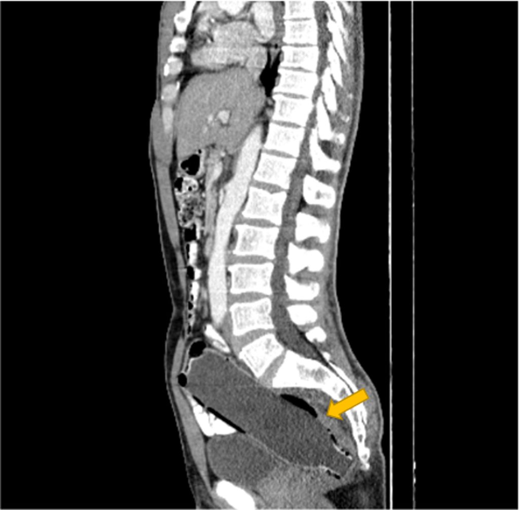 ccr36062-fig-0001-m.jpg