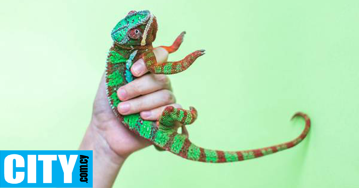 Η προσαρμοστικότητα εξουδετερώνει τον φόβο της αβεβαιότητας