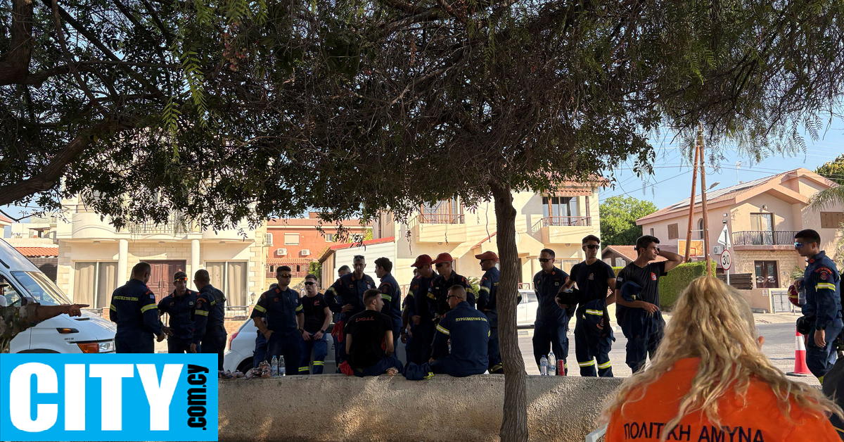 Εβάλαμεν τους δασοκομάντος που Ελλάδα σε λεωφορείο, τζαι εμείναν μεσόστρατα