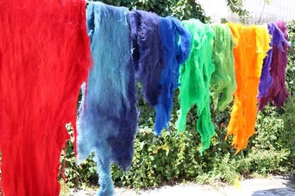 drying the dyed carded fleeces in the sun_otok Cres.JPG