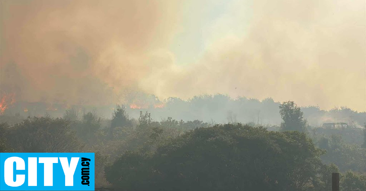 «Ήταν δύσκολη και κρίσιμη η χθεσινή μέρα για το Όμοδος» «Ήταν δύσκολη και κρίσιμη η χθεσινή μέρα για το Όμοδος»
