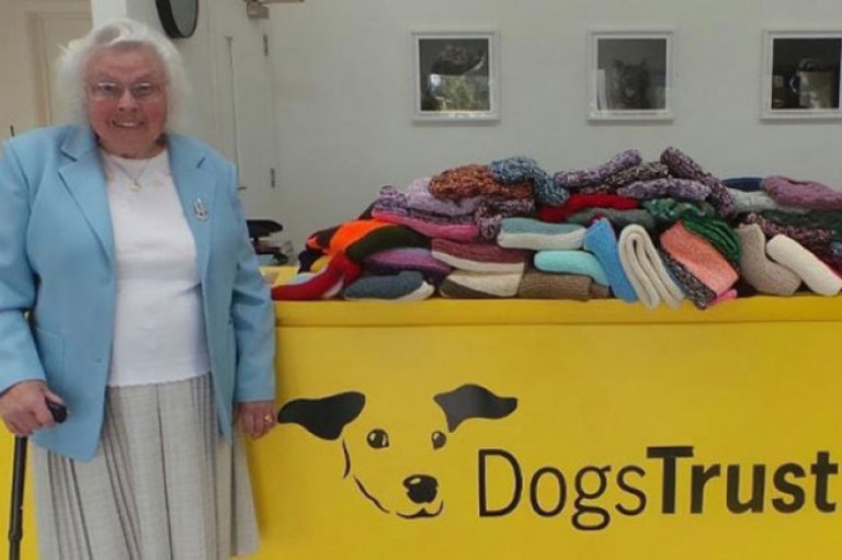 elderly-woman-knits-450-blankets-shelter-dog-dogs-trust-1-5d13842382d82-700.jpg