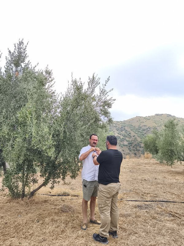 ενα.jpg