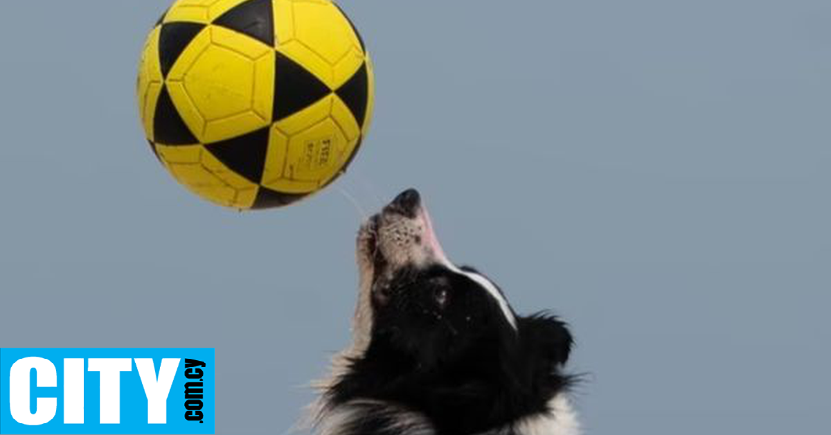 Ένας σκύλος διδάσκει Footvolley στις παραλίες του Ρίο