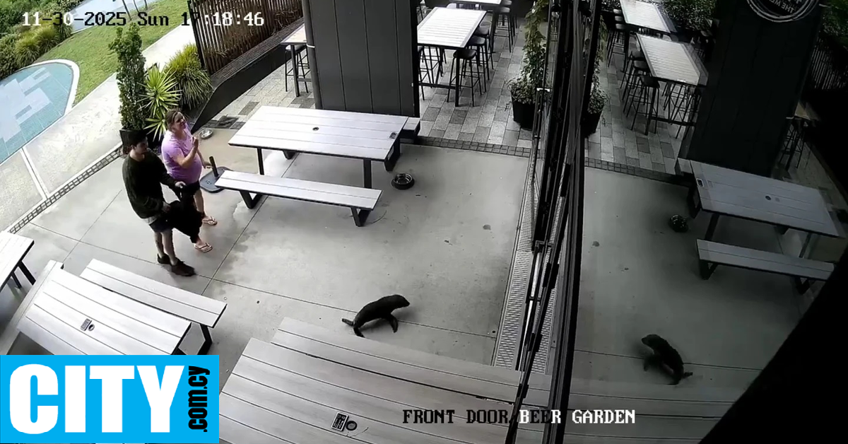 Η πιο χαριτωμένη «εισβολή» που είδαμε ποτέ σε μπαρ [Βίντεο]