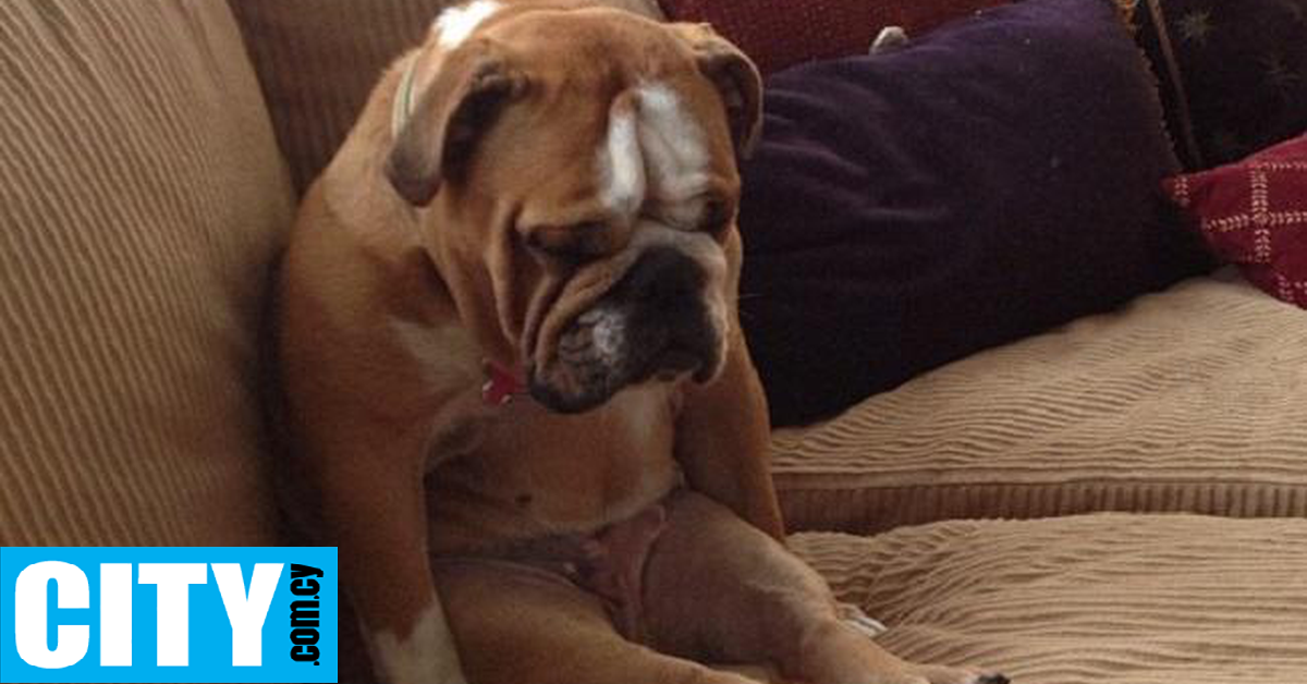 &Eta; (&epsilon;&nu;&epsilon;&rho;&gamma;&eta;&tau;&iota;&kappa;ή) &kappa;&alpha;&theta;&iota;&sigma;&tau;&iota;&kappa;ή &zeta;&omega;ή &mu;&pi;&omicron;&rho;&epsilon;ί &nu;&alpha; έ&chi;&epsilon;&iota; &sigma;&eta;&mu;&alpha;&nu;&tau;&iota;&kappa;ά &omicron;&phi;έ&lambda;&eta; &gamma;&iota;&alpha; &tau;&eta;&nu; &upsilon;&gamma;&epsilon;ί&alpha; &tau;&omicron;&upsilon; &epsilon;&gamma;&kappa;&epsilon;&phi;ά&lambda;&omicron;&upsilon;