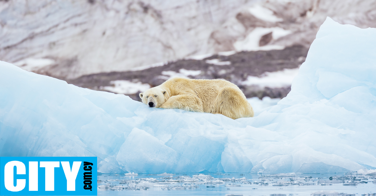 &Tau;&omicron; &laquo;&mu;&upsilon;&sigma;&tau;ή&rho;&iota;&omicron;&raquo; &tau;&omicron;&upsilon; &Sigma;&beta;ά&lambda;&mu;&pi;&alpha;&rho;&nu;&tau;: &Gamma;&iota;&alpha;&tau;ί &omicron;&iota; &pi;&omicron;&lambda;&iota;&kappa;έ&sigmaf; &alpha;&rho;&kappa;&omicron;ύ&delta;&epsilon;&sigmaf; &pi;&alpha;&chi;&alpha;ί&nu;&omicron;&upsilon;&nu; &alpha;&nu;&tau;ί &nu;&alpha; &alpha;&delta;&upsilon;&nu;&alpha;&tau;ί&zeta;&omicron;&upsilon;&nu;