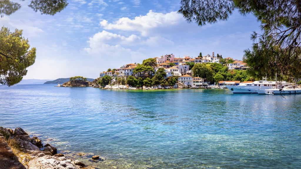 iStock-1892945853.jpg