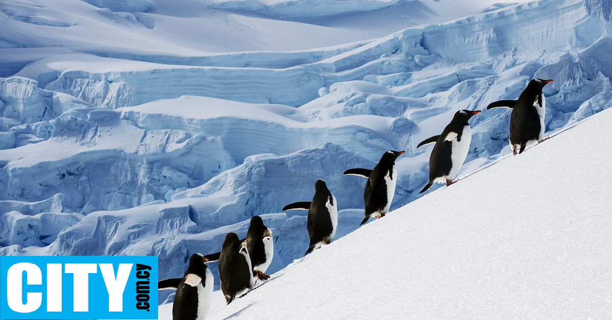 &Omicron;&iota; &pi;&iota;&gamma;&kappa;&omicron;&upsilon;ί&nu;&omicron;&iota; &sigma;&tau;&eta;&nu; &Alpha;&nu;&tau;&alpha;&rho;&kappa;&tau;&iota;&kappa;ή έ&chi;&omicron;&upsilon;&nu; &mu;&epsilon;&tau;&alpha;&tau;&omicron;&pi;ί&sigma;&epsilon;&iota; &tau;&eta;&nu; &pi;&epsilon;&rho;ί&omicron;&delta;&omicron; &alpha;&nu;&alpha;&pi;&alpha;&rho;&alpha;&gamma;&omega;&gamma;ή&sigmaf; &tau;&omicron;&upsilon;&sigmaf; &kappa;&alpha;&iota; &mu;&alpha;&nu;&tau;έ&psi;&tau;&epsilon; &pi;&omicron;&iota;&omicron;&sigmaf; &epsilon;&upsilon;&theta;ύ&nu;&epsilon;&tau;&alpha;&iota;
