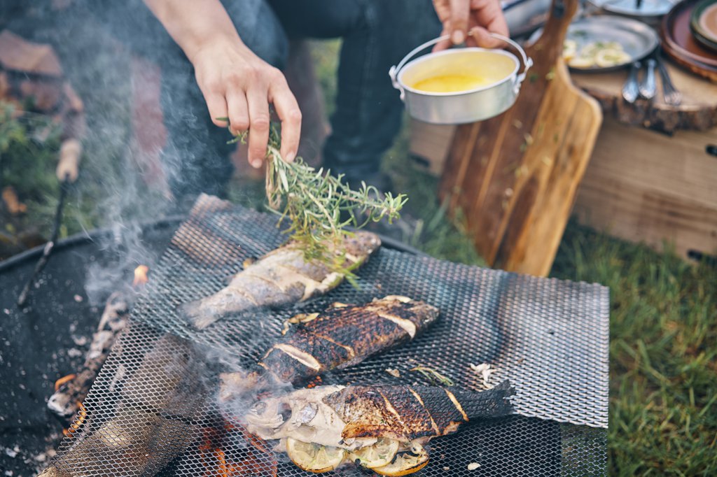 iStock-965001994.jpg