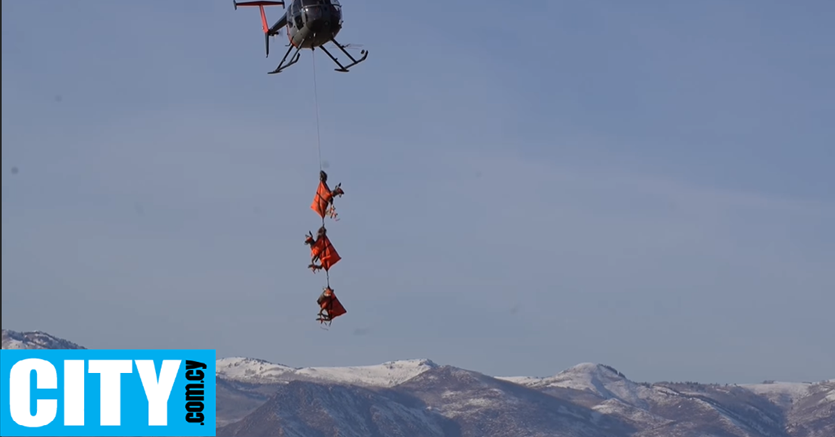 Τα «ιπτάμενα» ελάφια της Γιούτα ταξιδεύουν για εξετάσεις