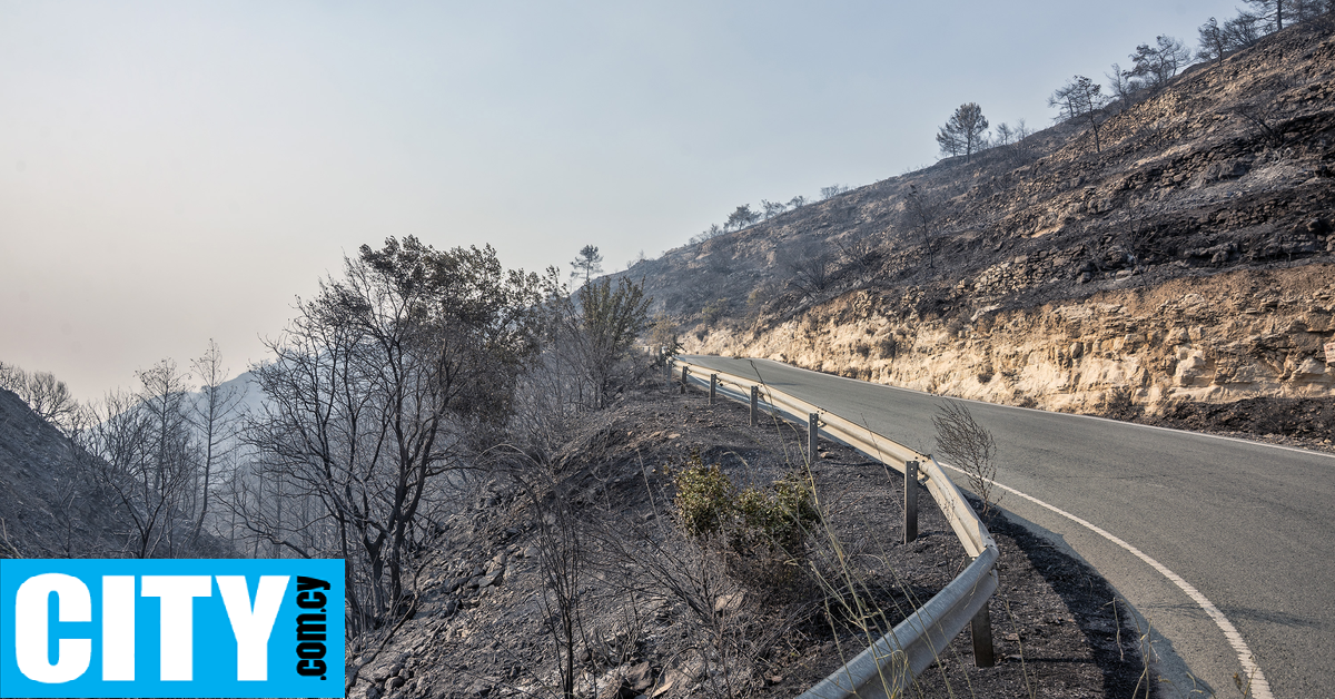«Αν δεν υπήρχαν οι εθελοντές θα καιγόταν όλη η κοινότητα. Μία ζωή είμαστε απροετοίμαστοι» «Αν δεν υπήρχαν οι εθελοντές θα καιγόταν όλη η κοινότητα. Μία ζωή είμαστε απροετοίμαστοι»