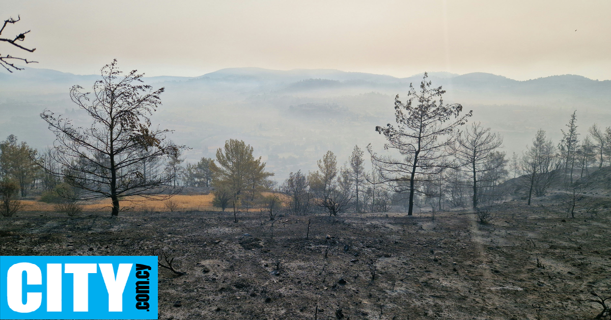Η κατάσταση της υγείας των τραυματιών από την πυρκαγιά Η κατάσταση της υγείας των τραυματιών από την πυρκαγιά