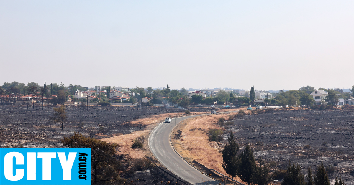 Τουλάχιστον 125 τετ. χλμ. καμένης γης Τουλάχιστον 125 τετ. χλμ. καμένης γης