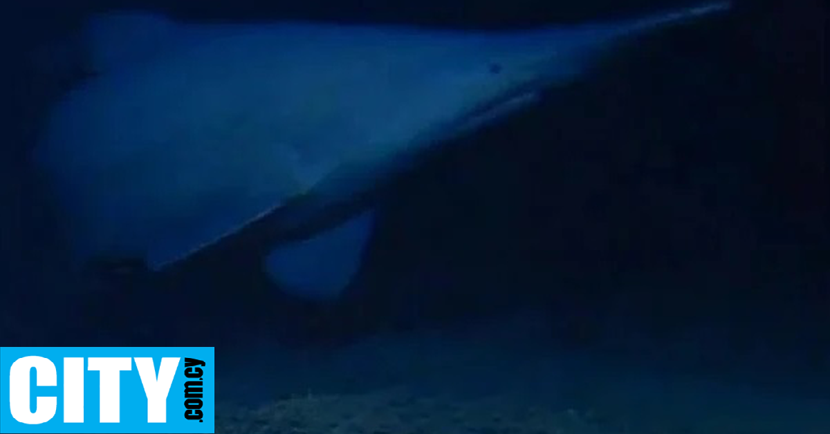 &Gamma;&iota;&alpha; &pi;&rho;ώ&tau;&eta; &phi;&omicron;&rho;ά &epsilon;&nu;&tau;&omicron;&pi;ί&sigma;&tau;&eta;&kappa;&epsilon; &zeta;&omega;&nu;&tau;&alpha;&nu;ό&sigmaf; &omicron; &kappa;&alpha;&rho;&chi;&alpha;&rho;ί&alpha;&sigmaf;-&laquo;&gamma;&kappa;ό&mu;&pi;&lambda;&iota;&nu;&raquo;