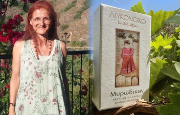 kentriki yiota 2.jpg