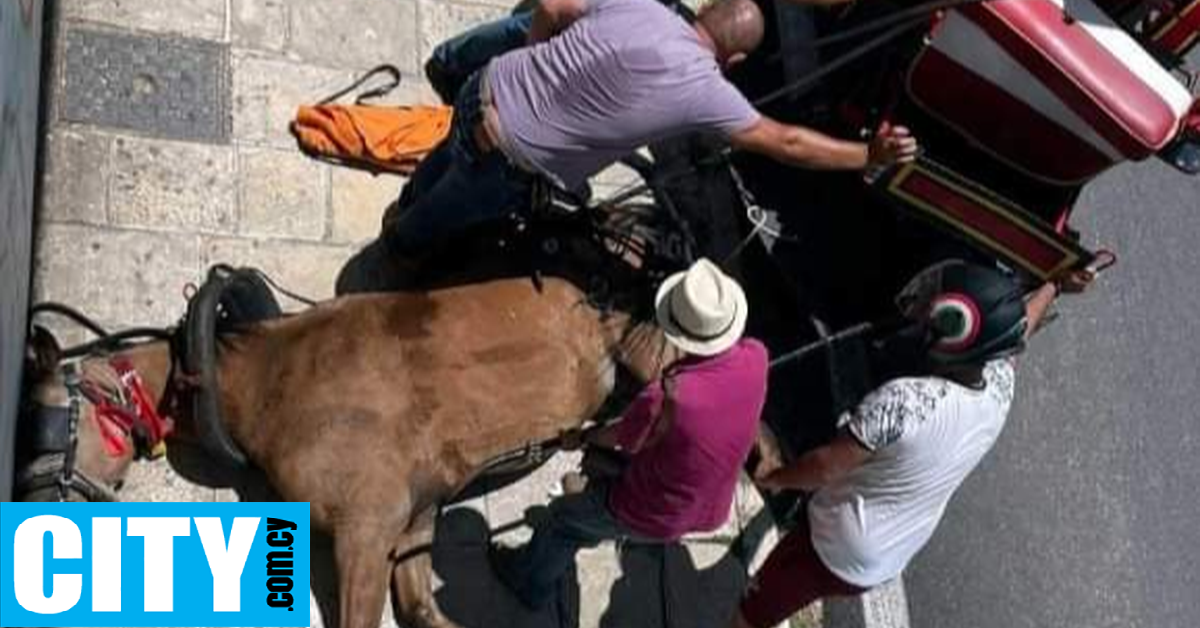 Το νεκρό άλογο στη Κέρκυρα φέρεται να μαστιγωνόταν από τον αμαξά του