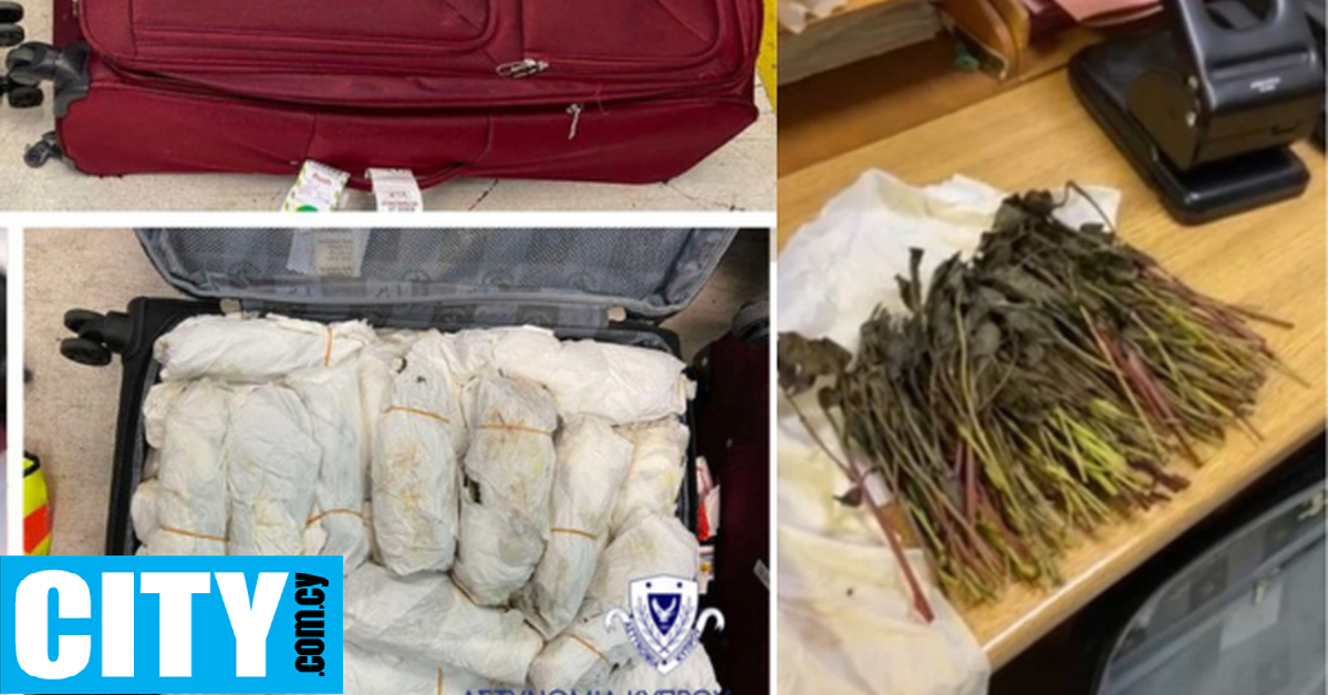 Τι είναι το ναρκωτικό Khat που εντοπίστηκε σε (αζήτητες) βαλίτσες στο αεροδρόμιο Λάρνακας;