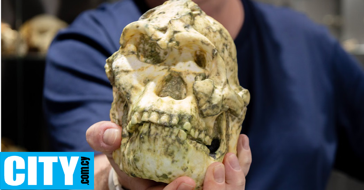 Ένα απολίθωμα ενδέχεται να ανήκει σε ένα, μέχρι σήμερα, άγνωστο πρόγονο του ανθρώπου