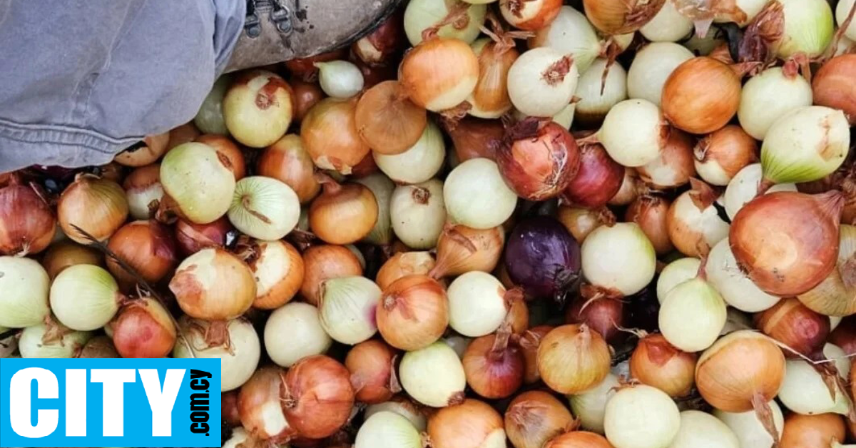 &Pi;&alpha;&rho;&alpha;&lambda;ί&alpha; &sigma;&tau;&eta;&nu; &Alpha;&gamma;&gamma;&lambda;ί&alpha; &gamma;έ&mu;&iota;&sigma;&epsilon; &tau;&eta;&gamma;&alpha;&nu;&eta;&tau;έ&sigmaf; &pi;&alpha;&tau;ά&tau;&epsilon;&sigmaf; &kappa;&alpha;&iota; &kappa;&rho;&epsilon;&mu;&mu;ύ&delta;&iota;&alpha; [&epsilon;&iota;&kappa;ό&nu;&epsilon;&sigmaf;]