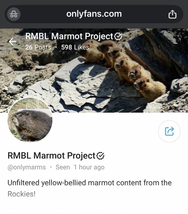 maromo.jpg