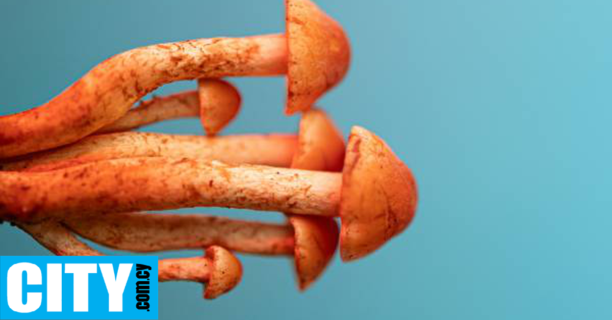 Μαγικά μανιτάρια με συνταγή γιατρού