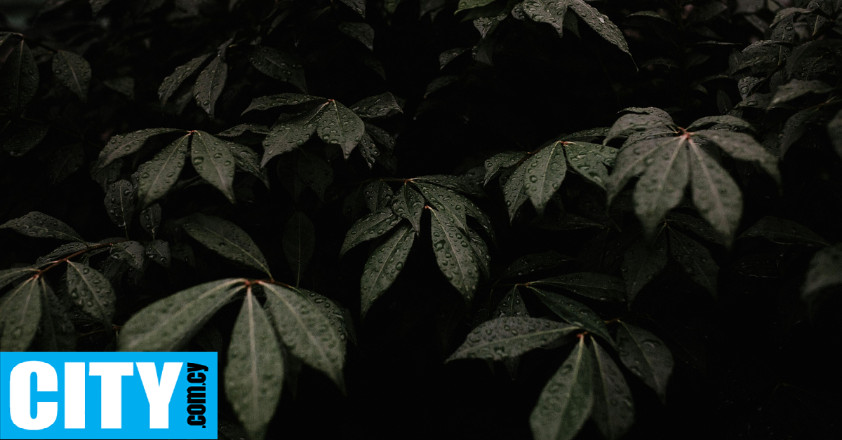 Πότε έρχονται μεμονωμένες βροχές και καταιγίδες